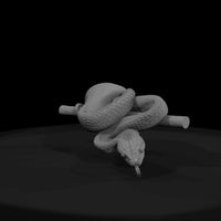 coiled-snake-on-branch-diorama-accent-452272 — thumbnail 3