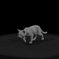 ww-0308-animal-barn-cat — thumbnail 2