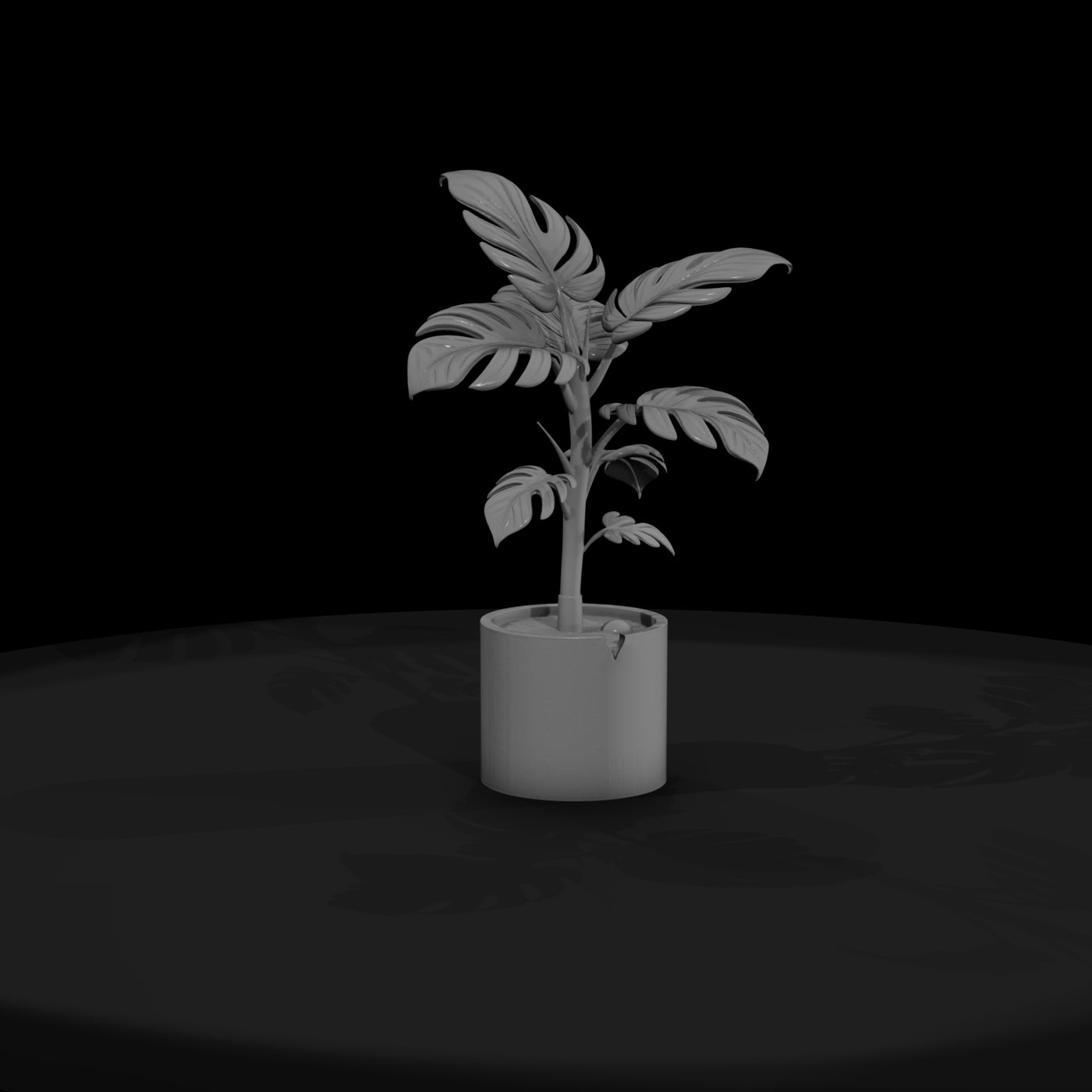 stylized-monochrome-potted-monstera-3d-model-4kilt