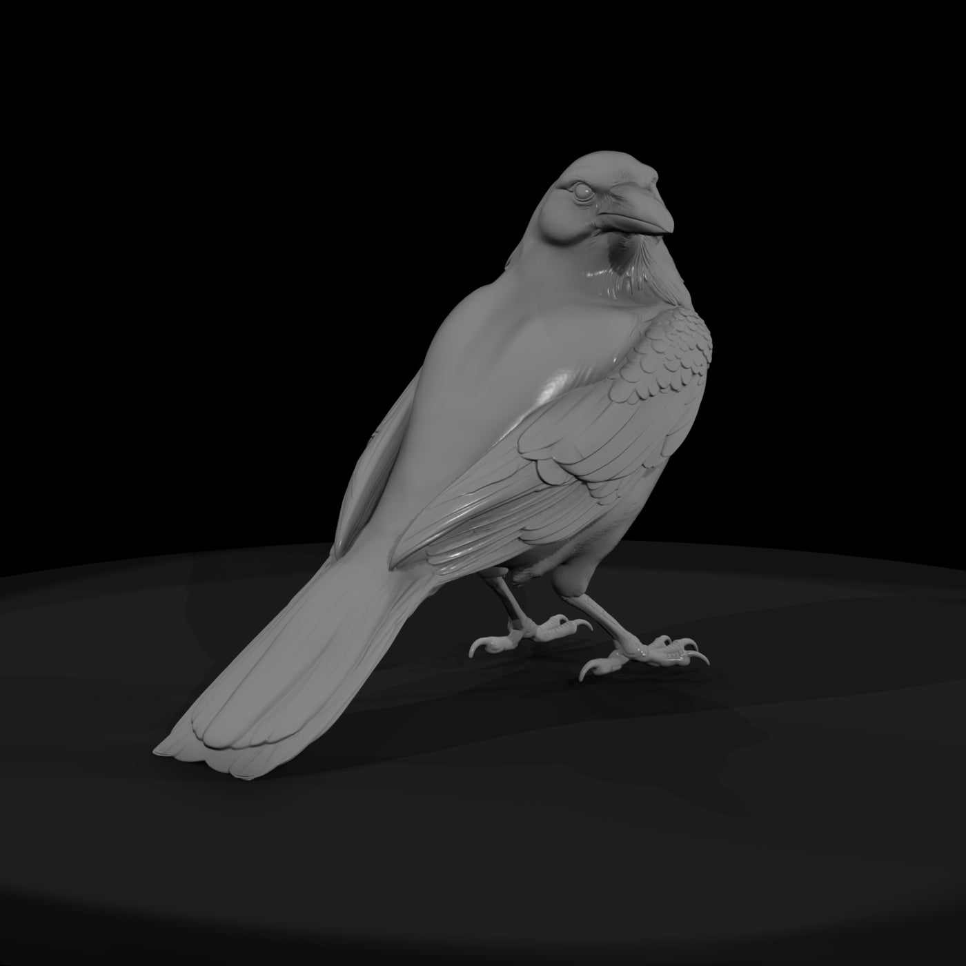 20260612-black-crow-bird-b98ca4224b
