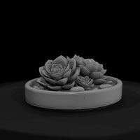 minimalist-monochrome-succulent-zen-garden-3d-printable-miniature-265295 — thumbnail 3