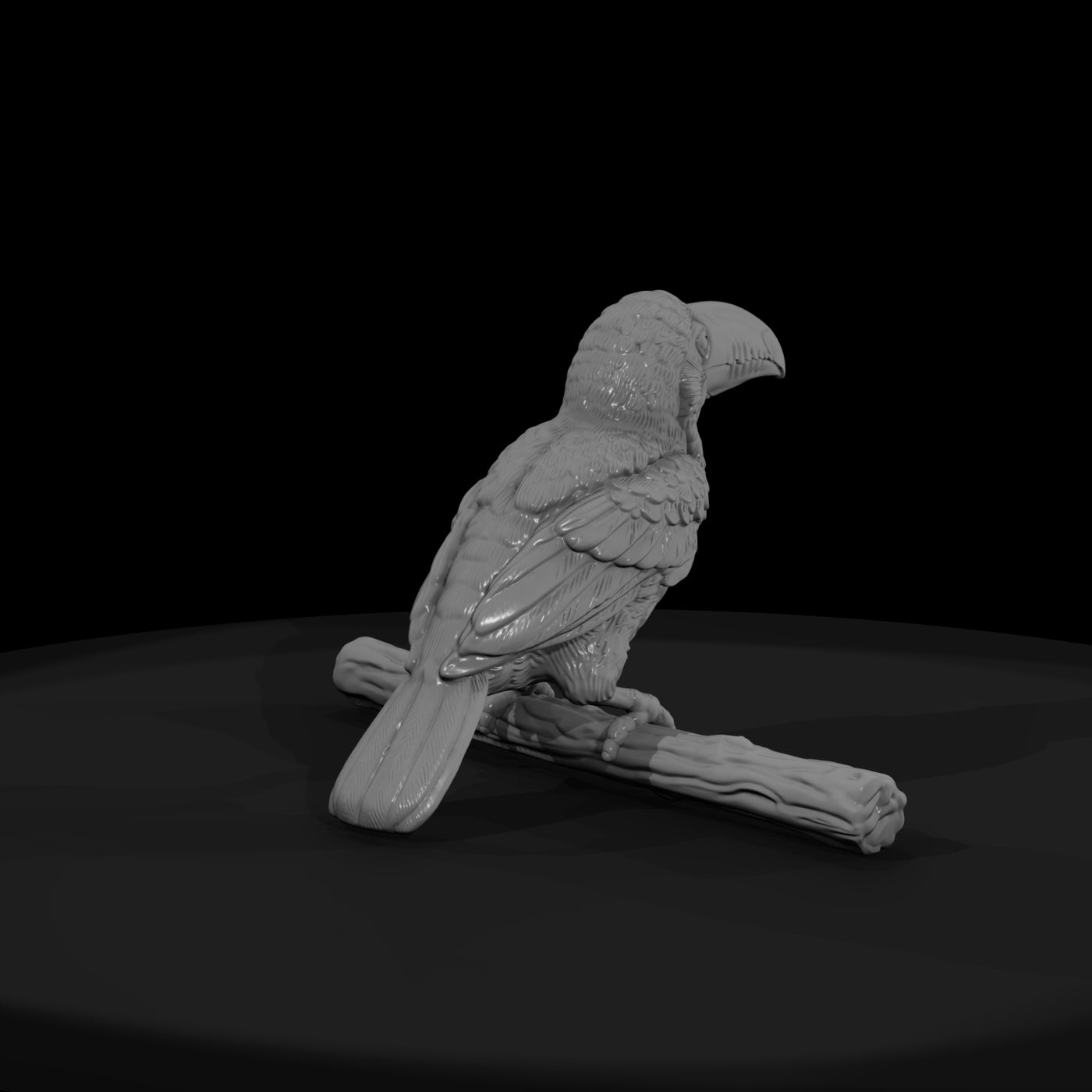 ant-288-toco-toucan-adolescent