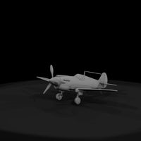 curtiss-p-40-warhawk-miniature-814241 — thumbnail 2