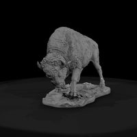 ant-049-american-bison-male — thumbnail 2