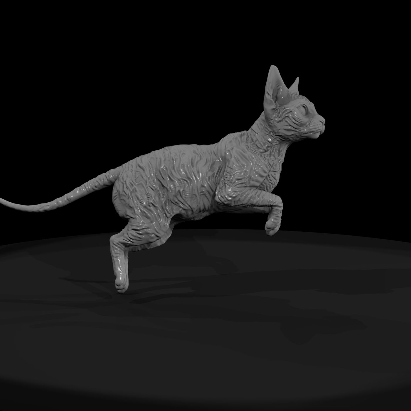 a-collection-of-housecats-cornish-1f45c53c-meshref
