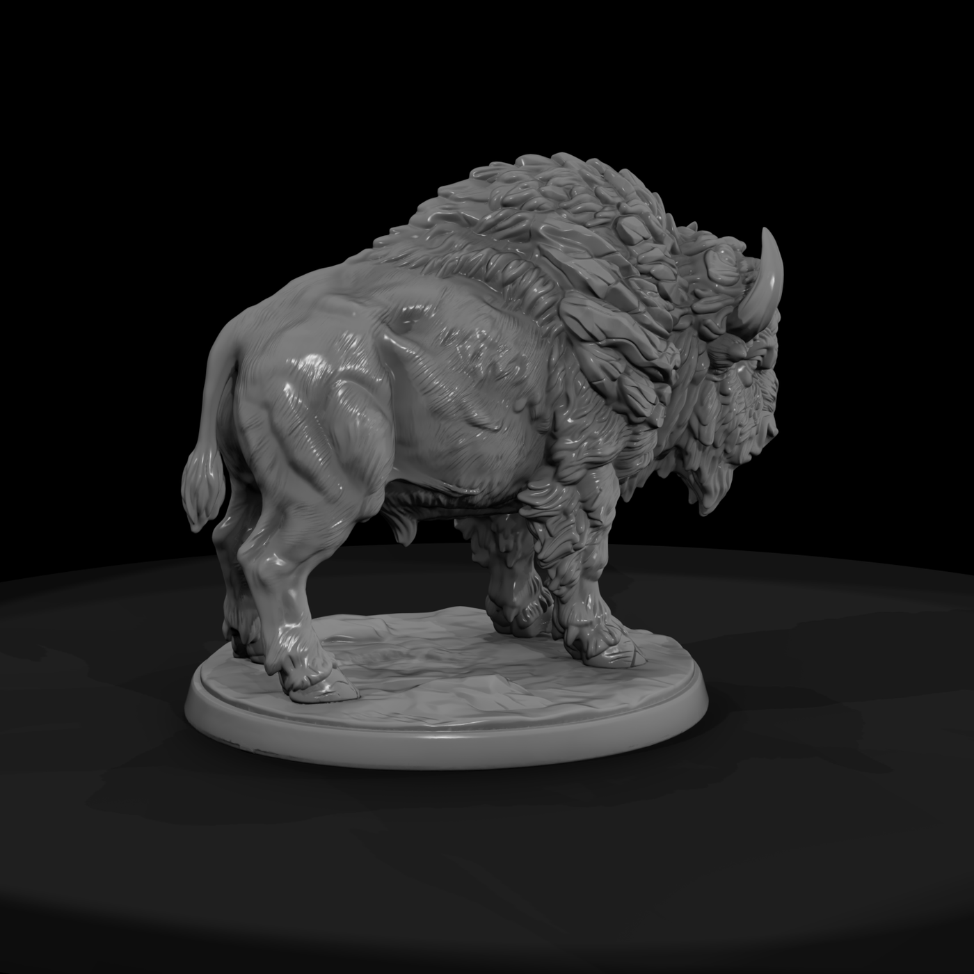 American Bison