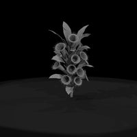 deadly-plants-screaming-heliconia — thumbnail 4