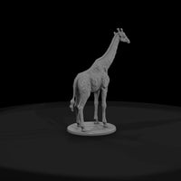 ant-026-giraffe-female — thumbnail 2