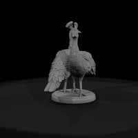 ant-086-indian-peafowl-female — thumbnail 2