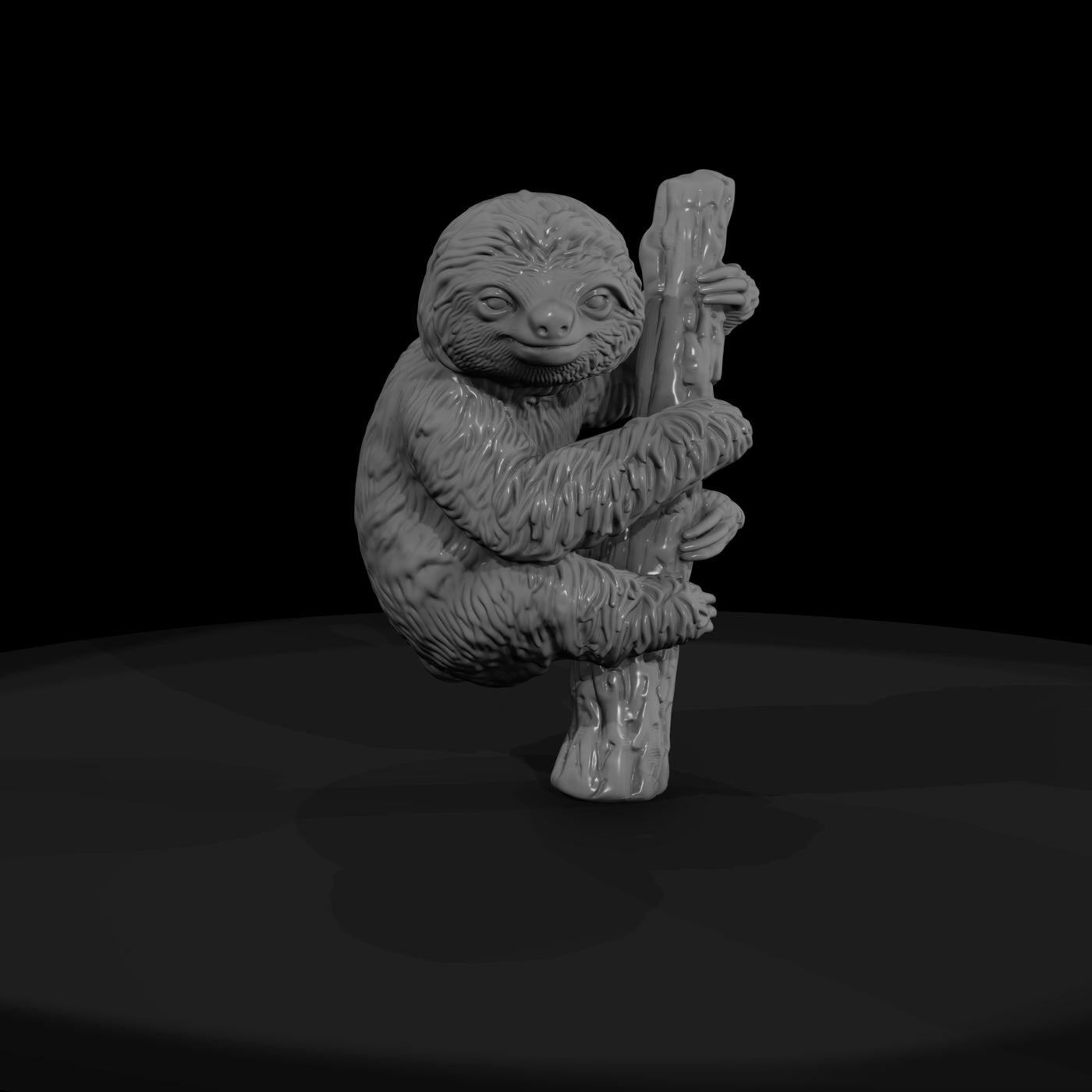 ant-204-three-toed-sloth-adolescent