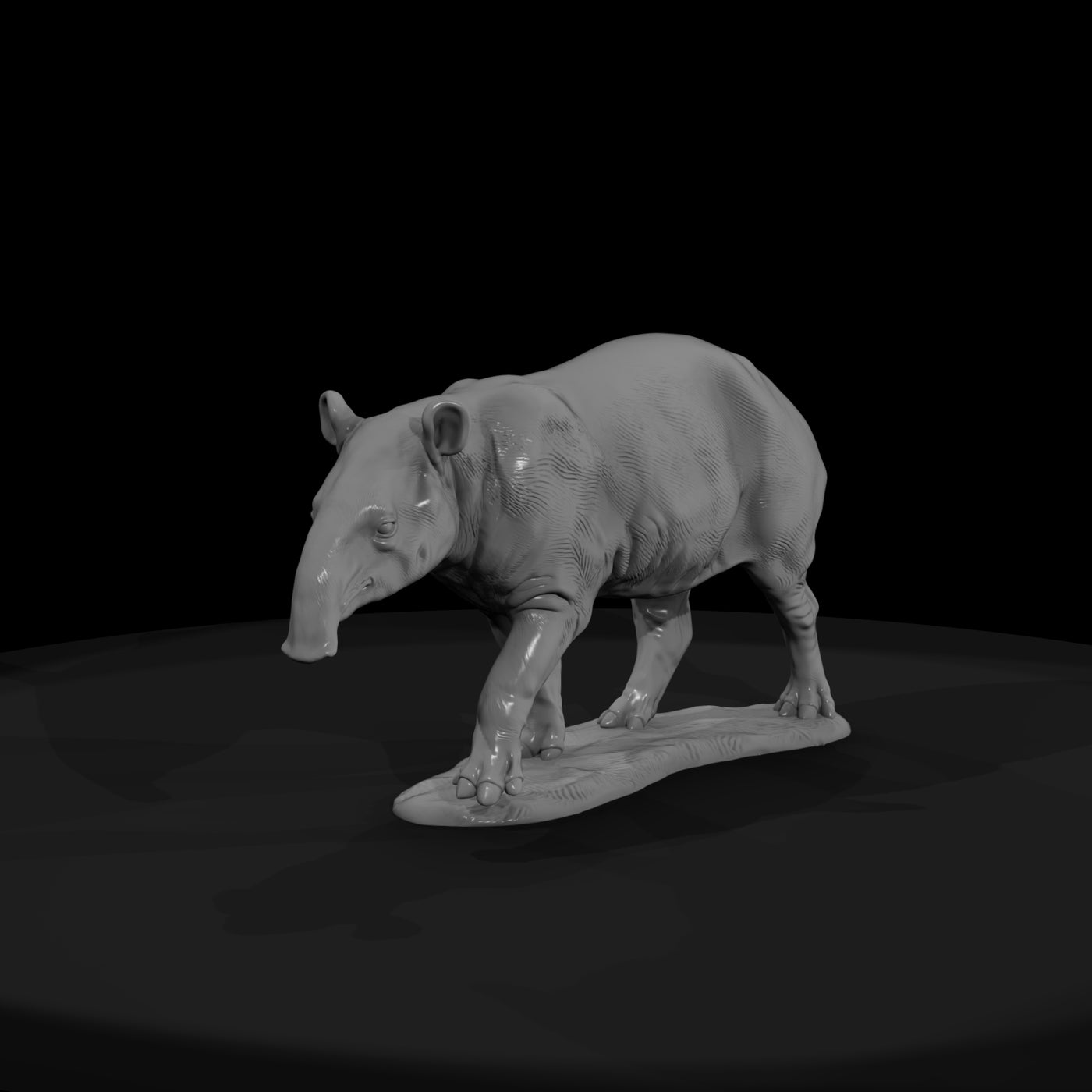 ant-254-malayan-tapir-female