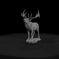 ant-043-elk-male — thumbnail 2