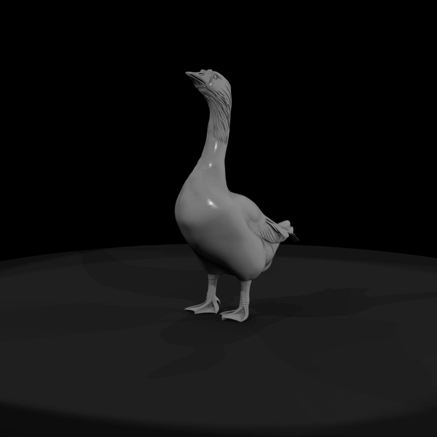 Standing Domestic Goose
