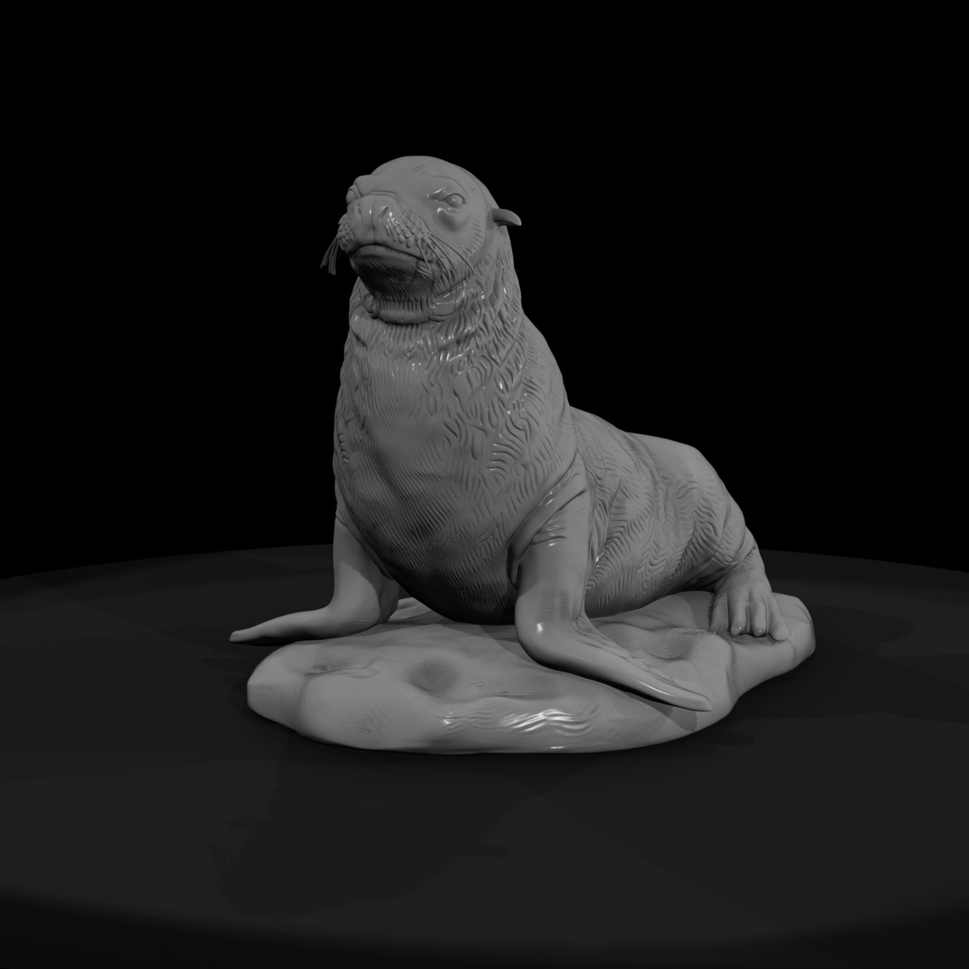 ant-140-sea-lion-female