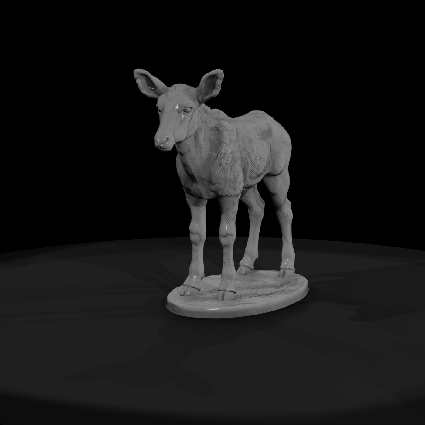 Young Gemsbok Oryx Standing