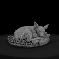 ant-072-white-tailed-deer-adolescent — thumbnail 2