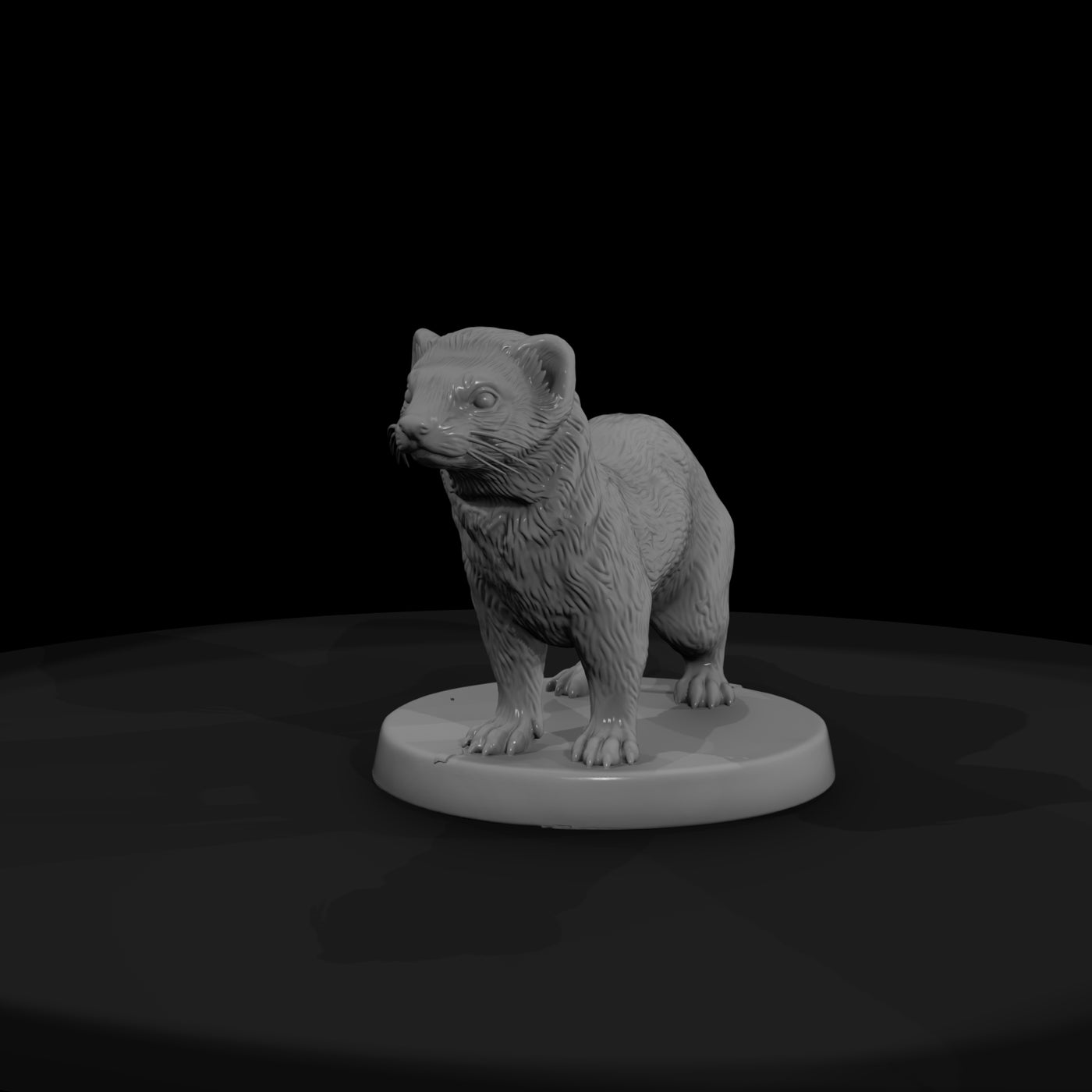 anim-28-ferret-5c2cc8