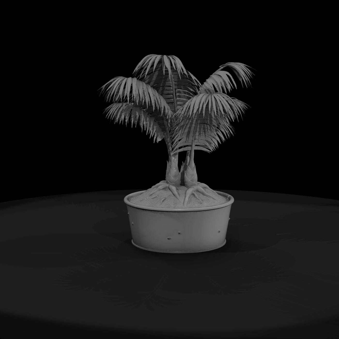 potted-palm-plant-miniature-643506