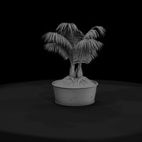 potted-palm-plant-miniature-643506 — thumbnail 3