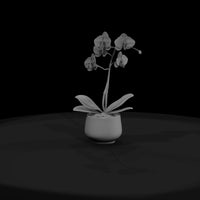 stylized-monochrome-potted-orchid-3d-model-xfzrzzj — thumbnail 2