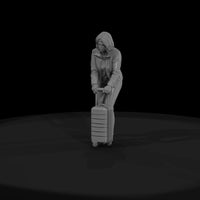 passengers-with-luggage-waiting-modern-woman — thumbnail 4