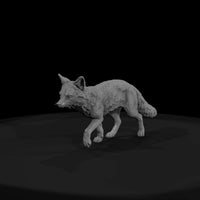 ww-0325-animal-gray-fox — thumbnail 2