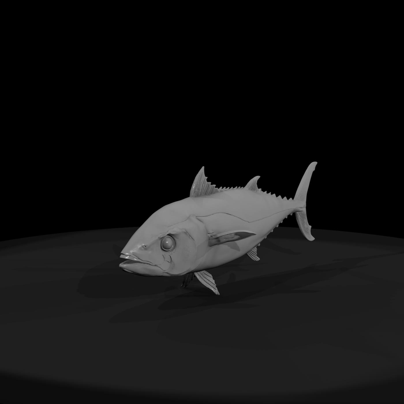Realistic Tuna Fish & Display
