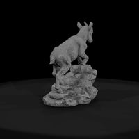 ant-279-alpine-ibex-adolescent — thumbnail 2