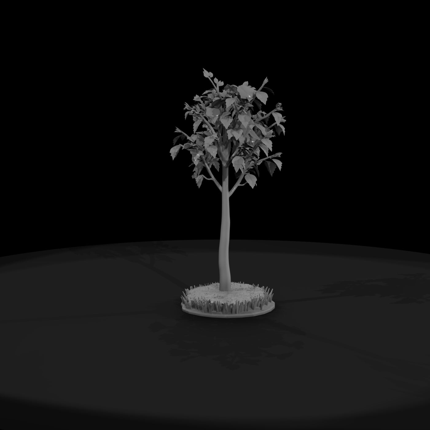 stylized-birch-tree-low-poly-diorama-tree-209959