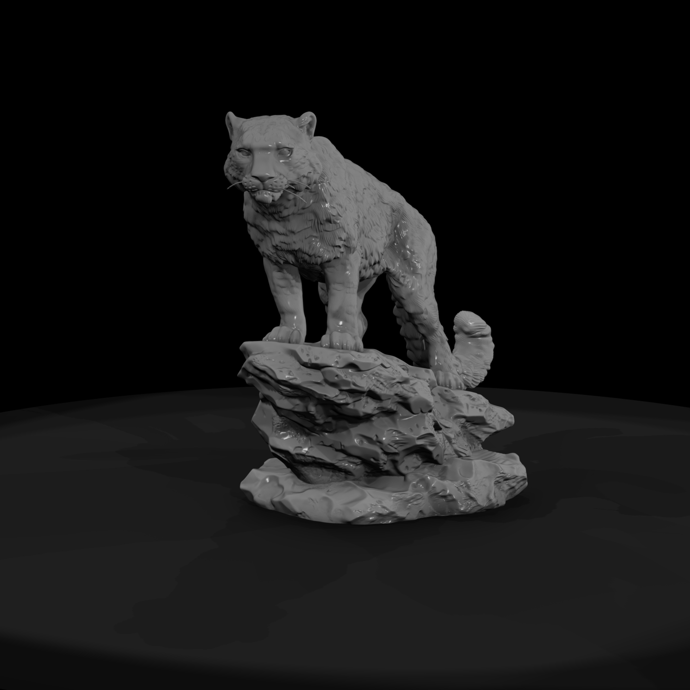 Ant 154 Snow Leopard Male