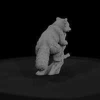 ant-148-red-panda-male — thumbnail 2