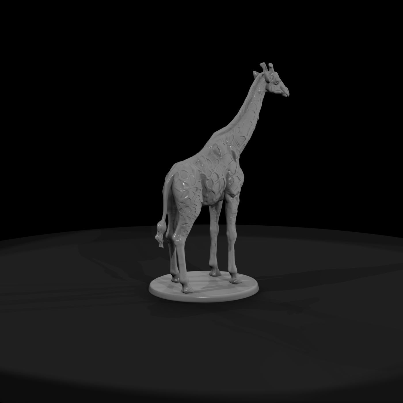 Ant 026 Giraffe Female