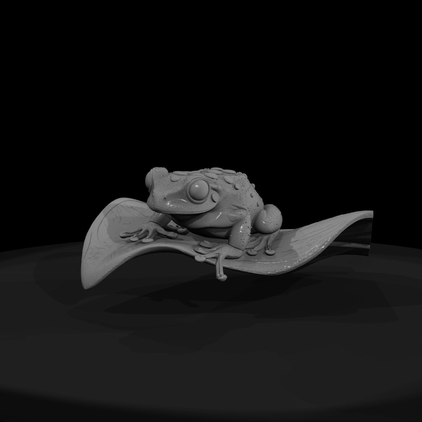 Realistic Tree Frog on Leaf — & Display