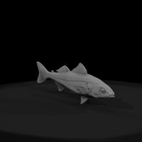 spotted-saltwater-fish-ho-scale-diorama-model-038228 — thumbnail 3