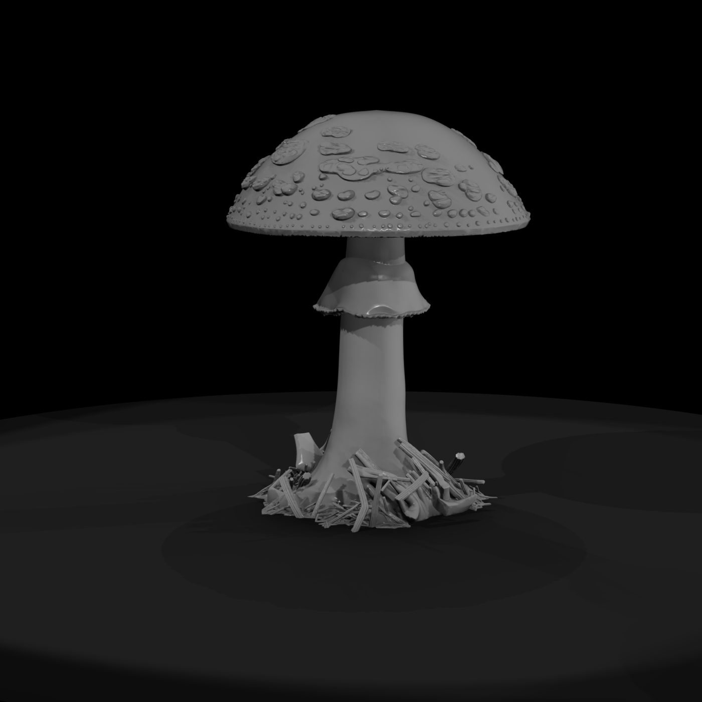 Fly Agaric Mushroom