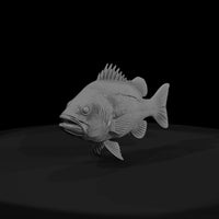 spiny-reef-predator-3d-printable-fish-miniature-852522 — thumbnail 3