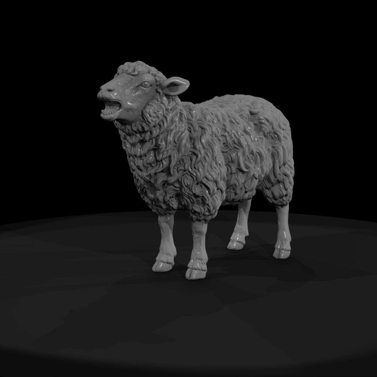 ww-0304-animal-ewe