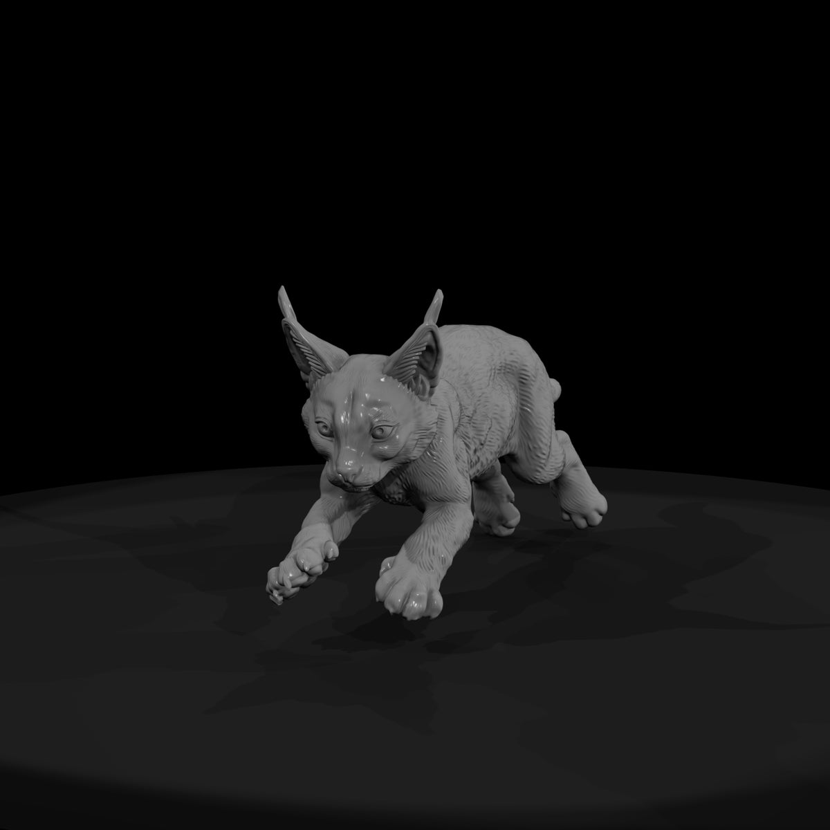 ant-165-caracal-adolescent