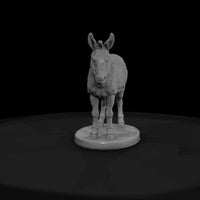 ww-0278-animal-burro — thumbnail 2