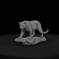 ant-007-leopard-male — thumbnail 2