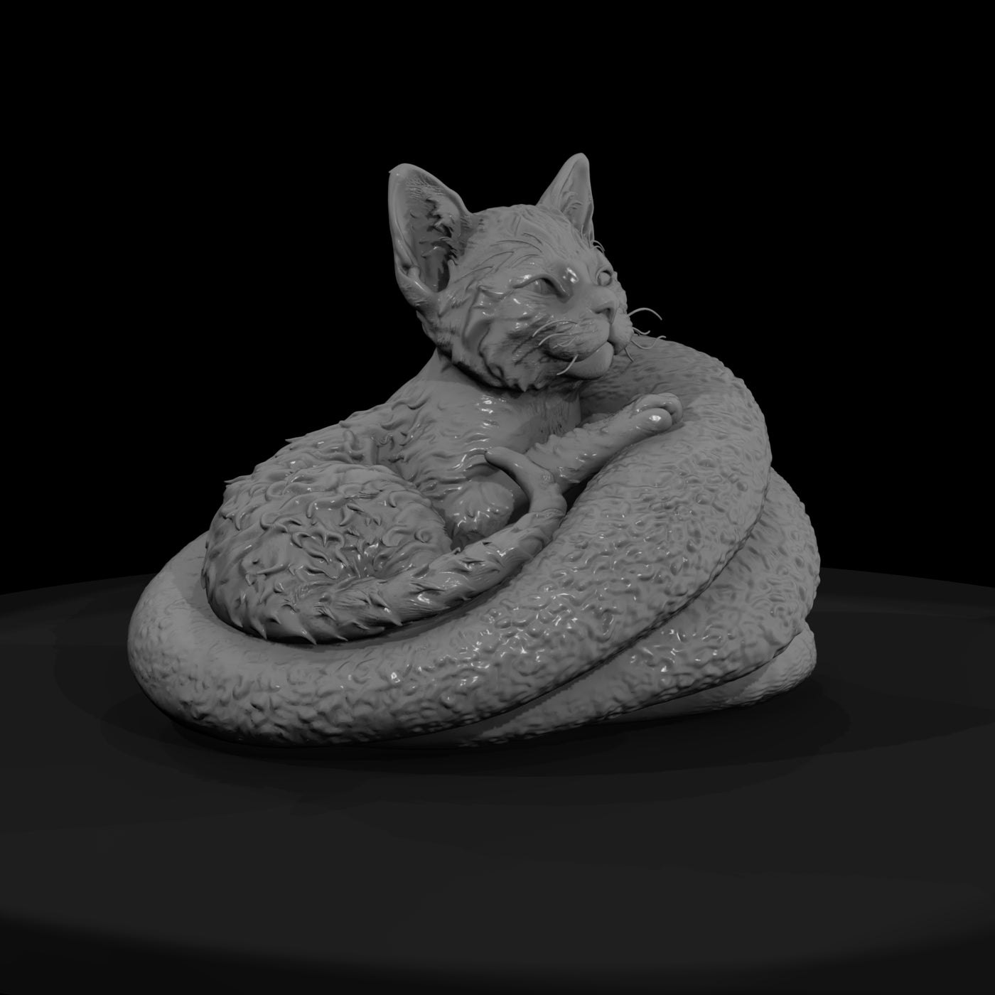 a-collection-of-housecats-laperm-dc15c177-meshref