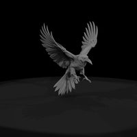20260612-black-flying-raven-72becd3757 — thumbnail 2