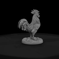 ww-0301-animal-rooster — thumbnail 2