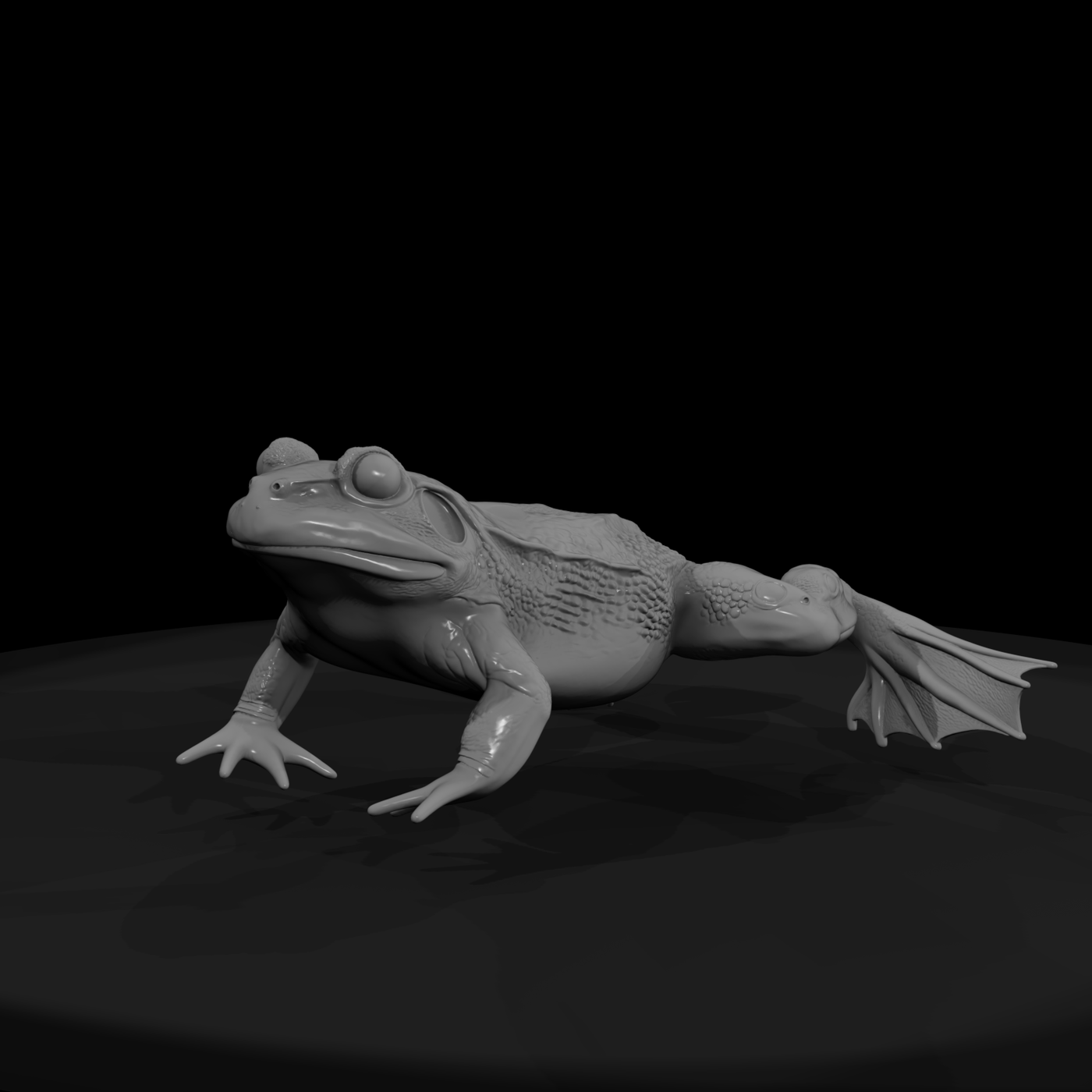 Winged Fantasy Frog