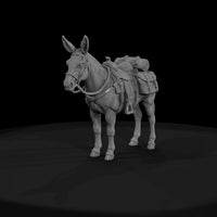 ww-0277-animal-mule — thumbnail 2