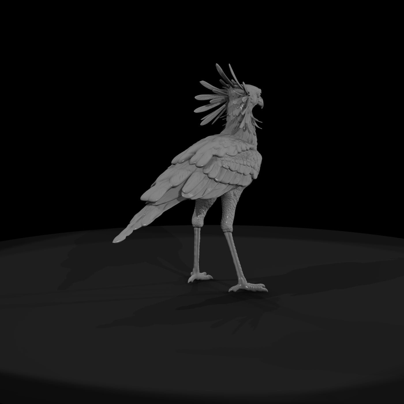 ant-293-secretary-bird-female