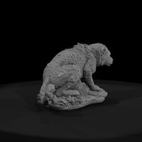 ant-012-cheetah-adolescent — thumbnail 2