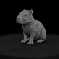 ant-258-capybara-adolescent — thumbnail 2