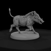 ant-078-warthog-adolescent — thumbnail 2