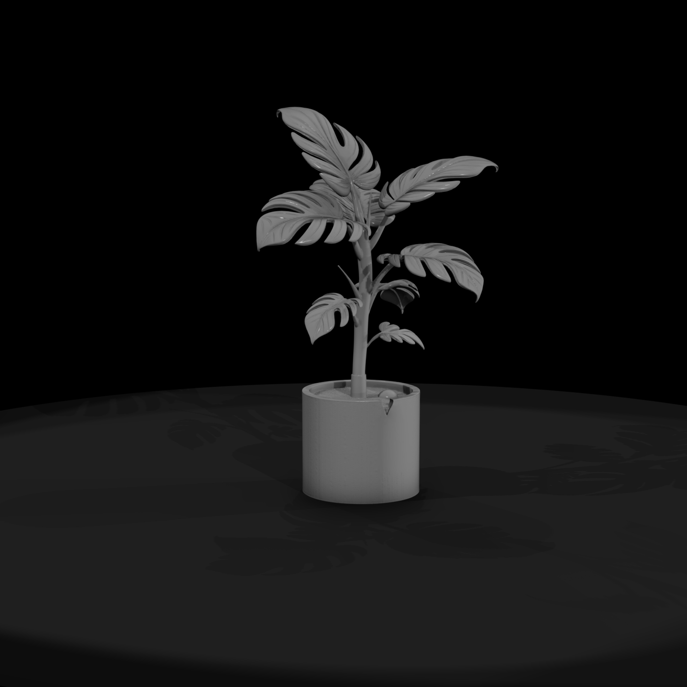 Stylized Monochrome Potted Monstera 3D Model 4Kilt